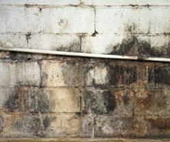 Basement Waterproofing